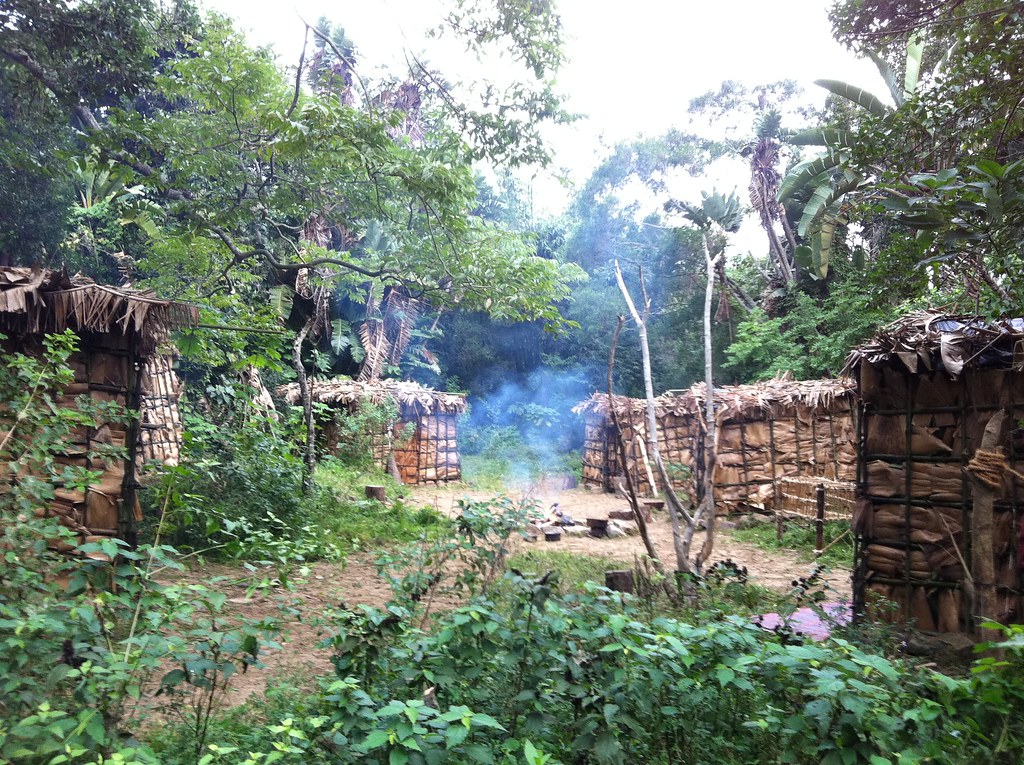 Dinosaur Project village build