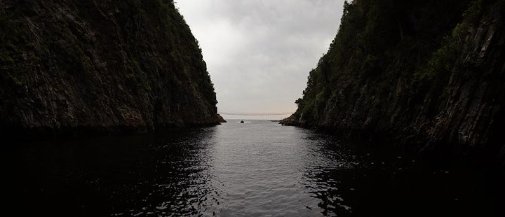 The beauty of Africa