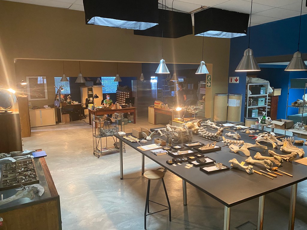 Netflix - feature - full set build and dressed